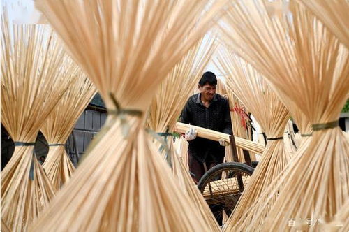 古田竹农复工忙，竹制品加工焕发新活力