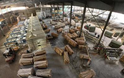 景宁东坑镇 竹制品加工敲开“致富门”，绿竹生金促振兴