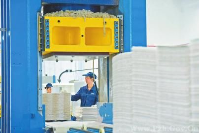 三问深加工 如何扩大竹产品版图