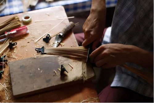 安吉竹博园 融合竹林、萌宠与冰雪的多元文化乐园