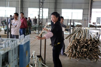 清流立仁竹业开业投产 绿色产业再添新动力，竹制品加工迈向新纪元