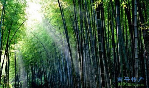 建阳黄坑 借毛竹优势资源，深耕竹制品深加工